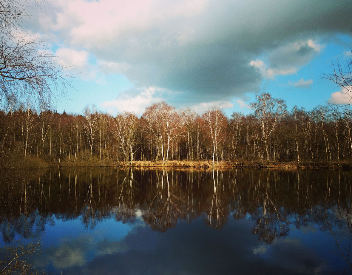 bei einem Waldspaziergang neue Kraft tanken und den Kopf frei bekommen